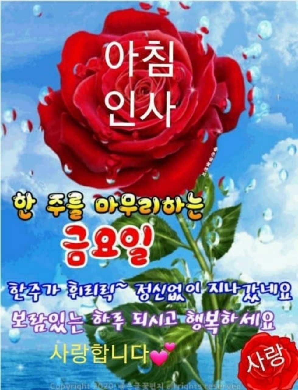 스푼 캐스트 | DJ 🌷Angel Song🎵CCM⚘️님의 🎵9월 23일 금요일 아침찬양🎵