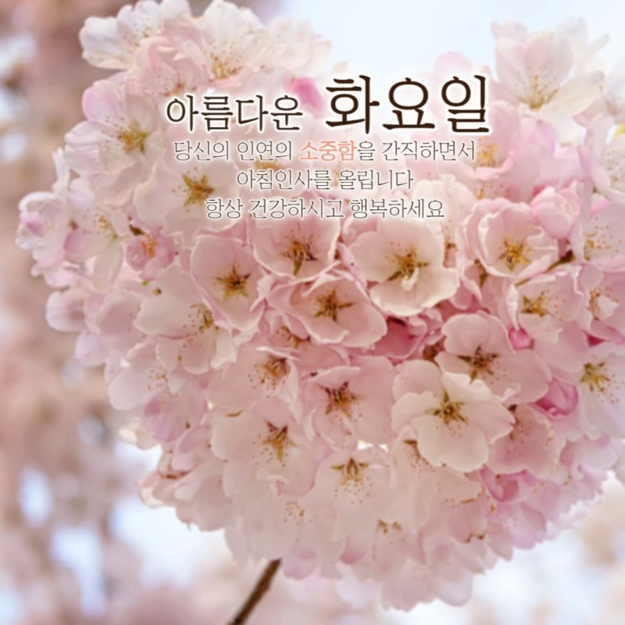 스푼 | #좋은아침지내세요 캐스트