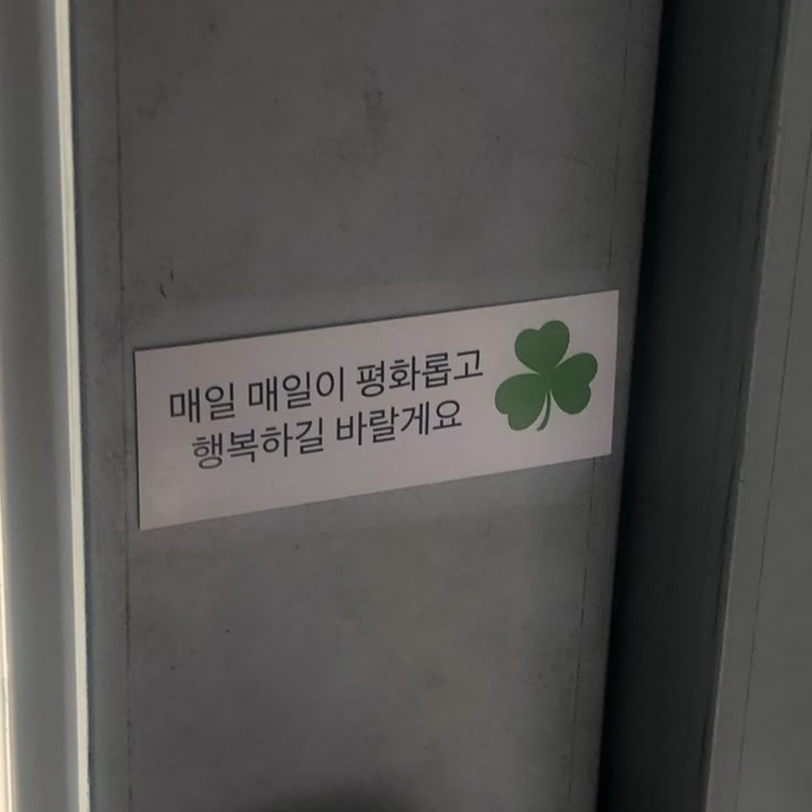 초 록 ₊⋆