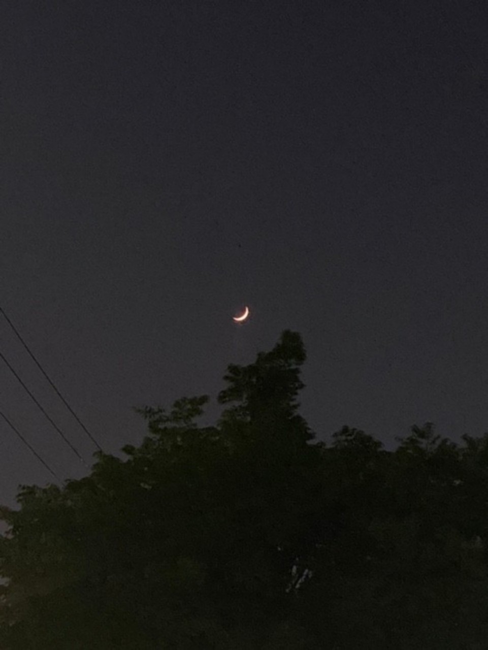 지 안 ˚ෆ₊