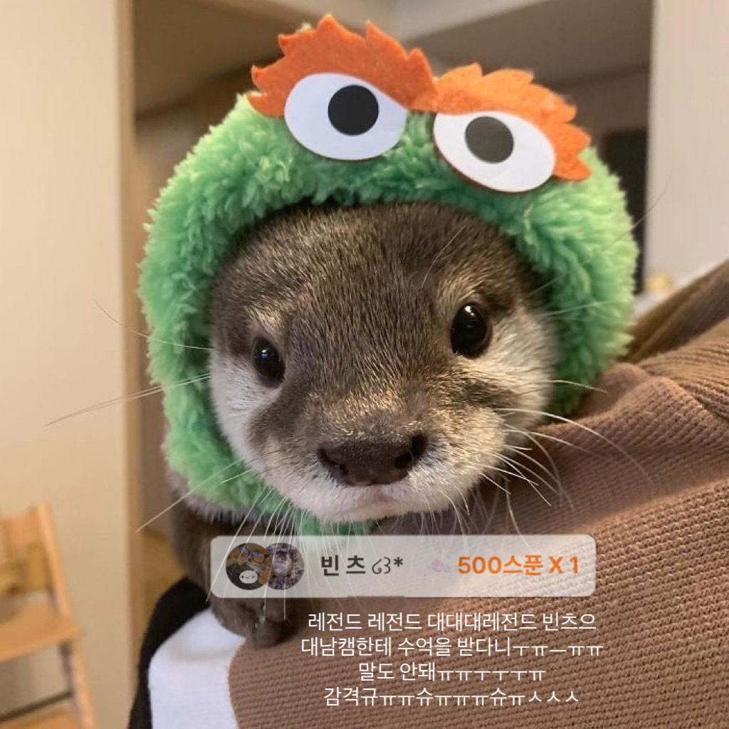 해달