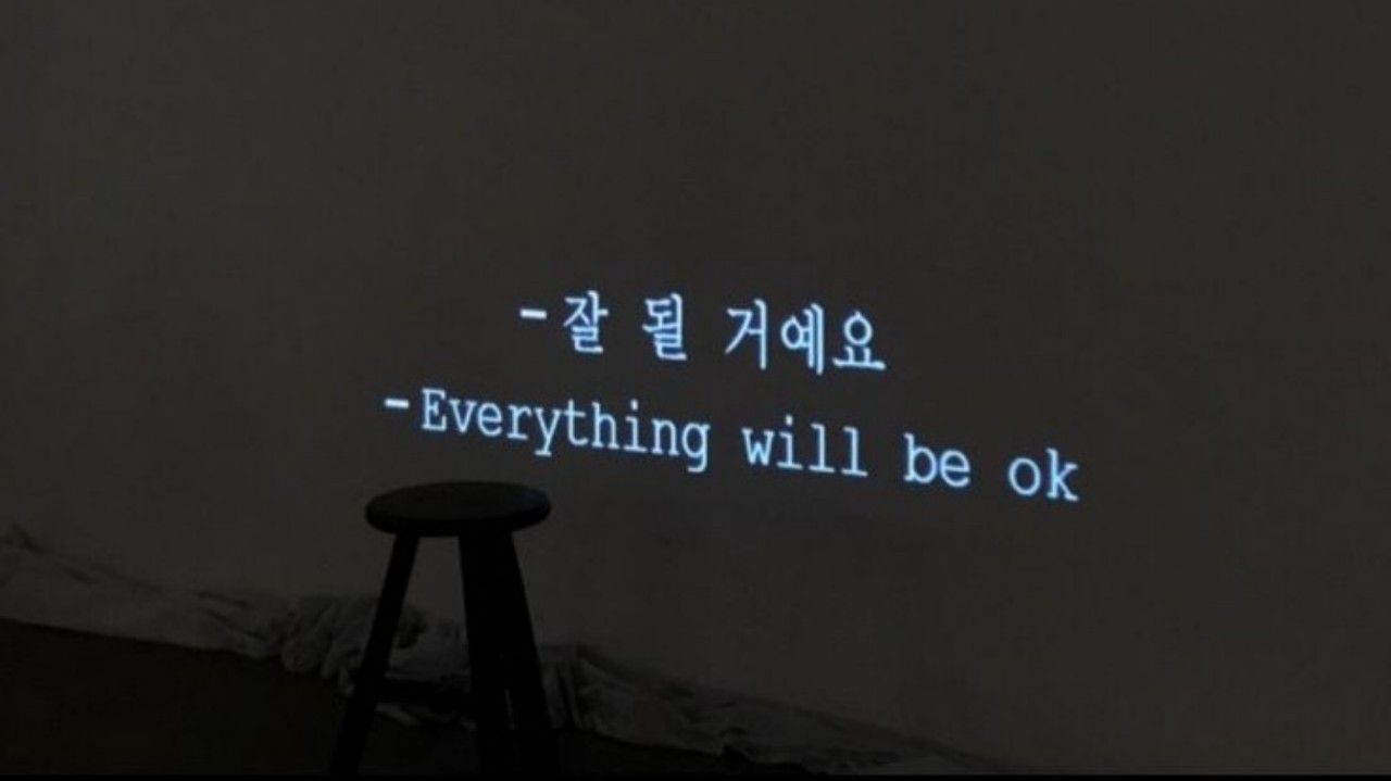 네코만의 연블리🐰⊹ ִֶָ𖤐