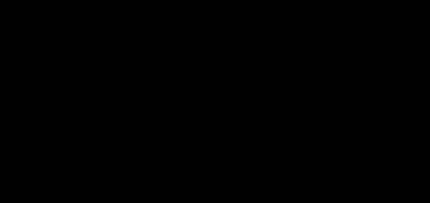 시 아