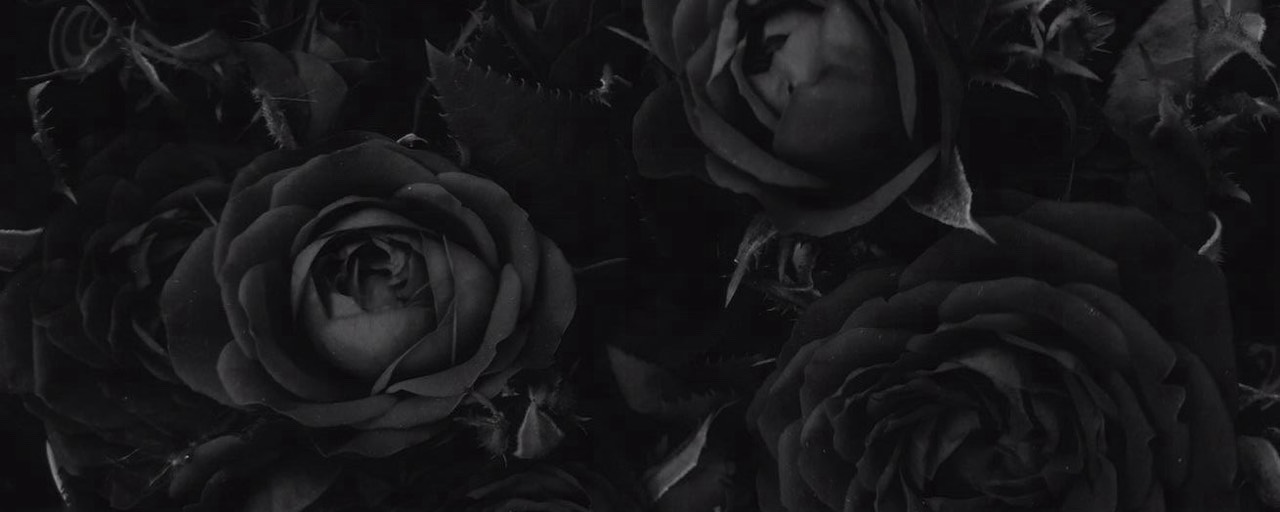 ꈉ 차 다 +°.