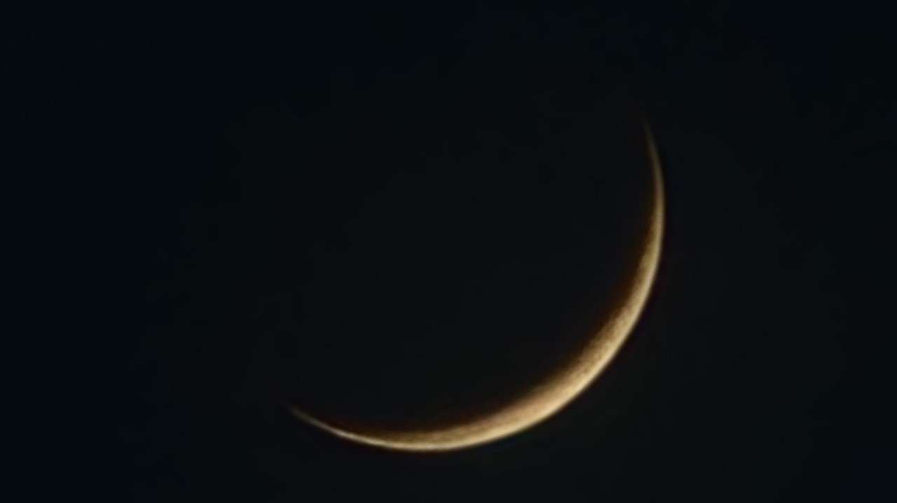 아희╭❃˖