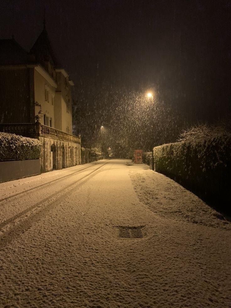 진 [❄️]