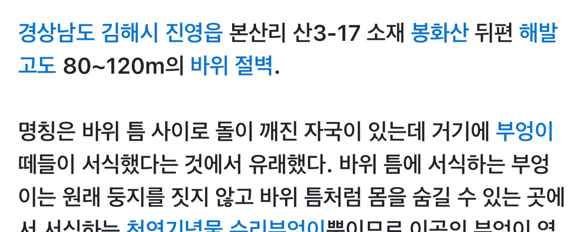 빌런 고양이