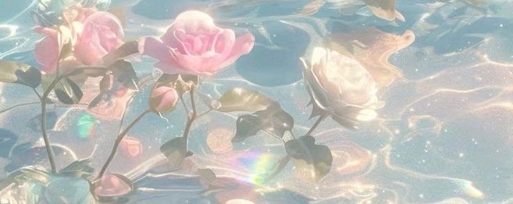 .•♥