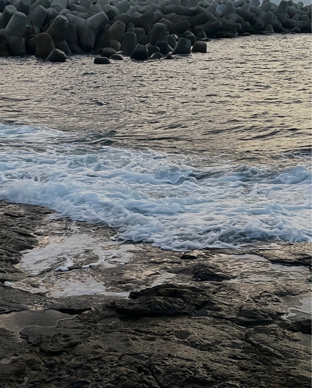 소 복¹ ⺣̤̥