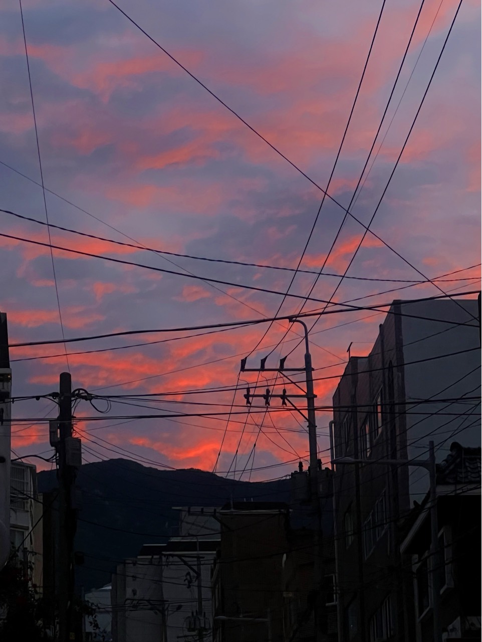 설화양 ε🐰з 100일 D-1