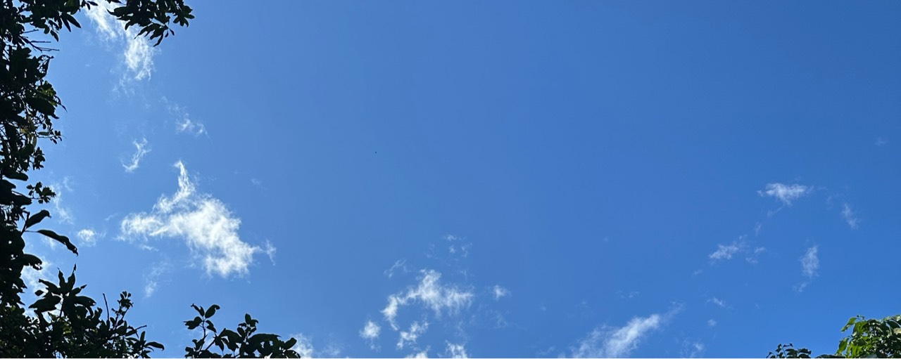 ˗ˋˏ 김 별 ˎˊ˗