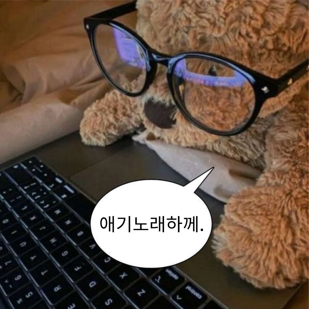 빈 츠 ໒꒱*