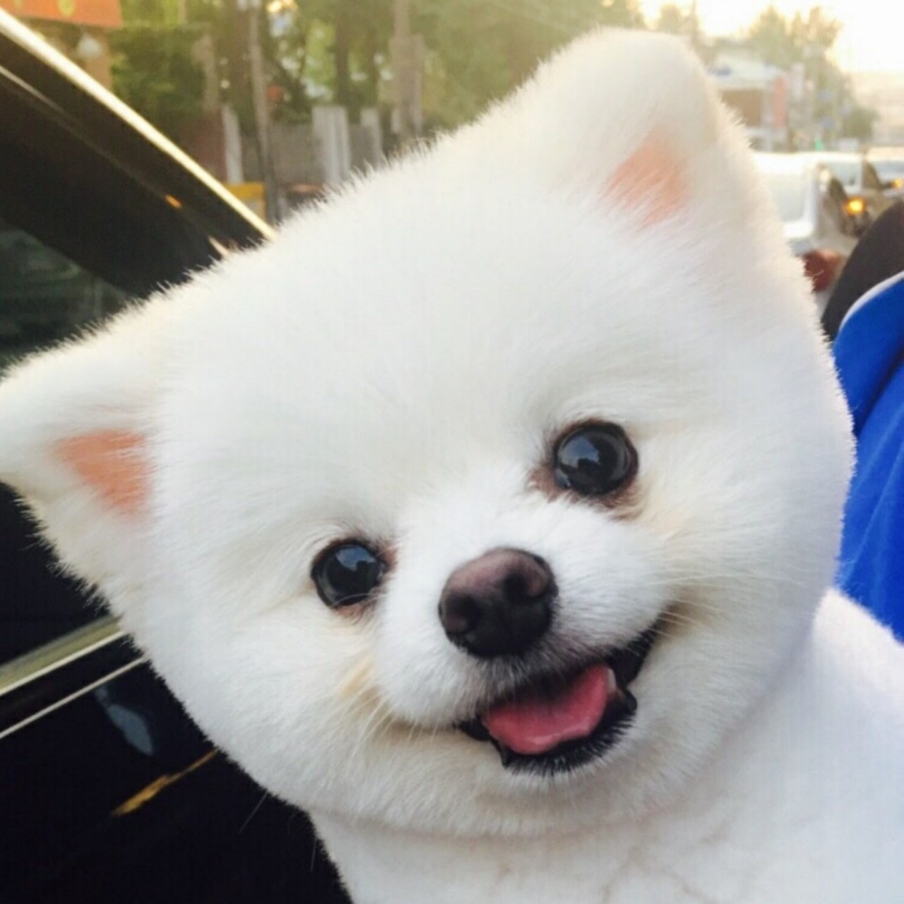 멍이