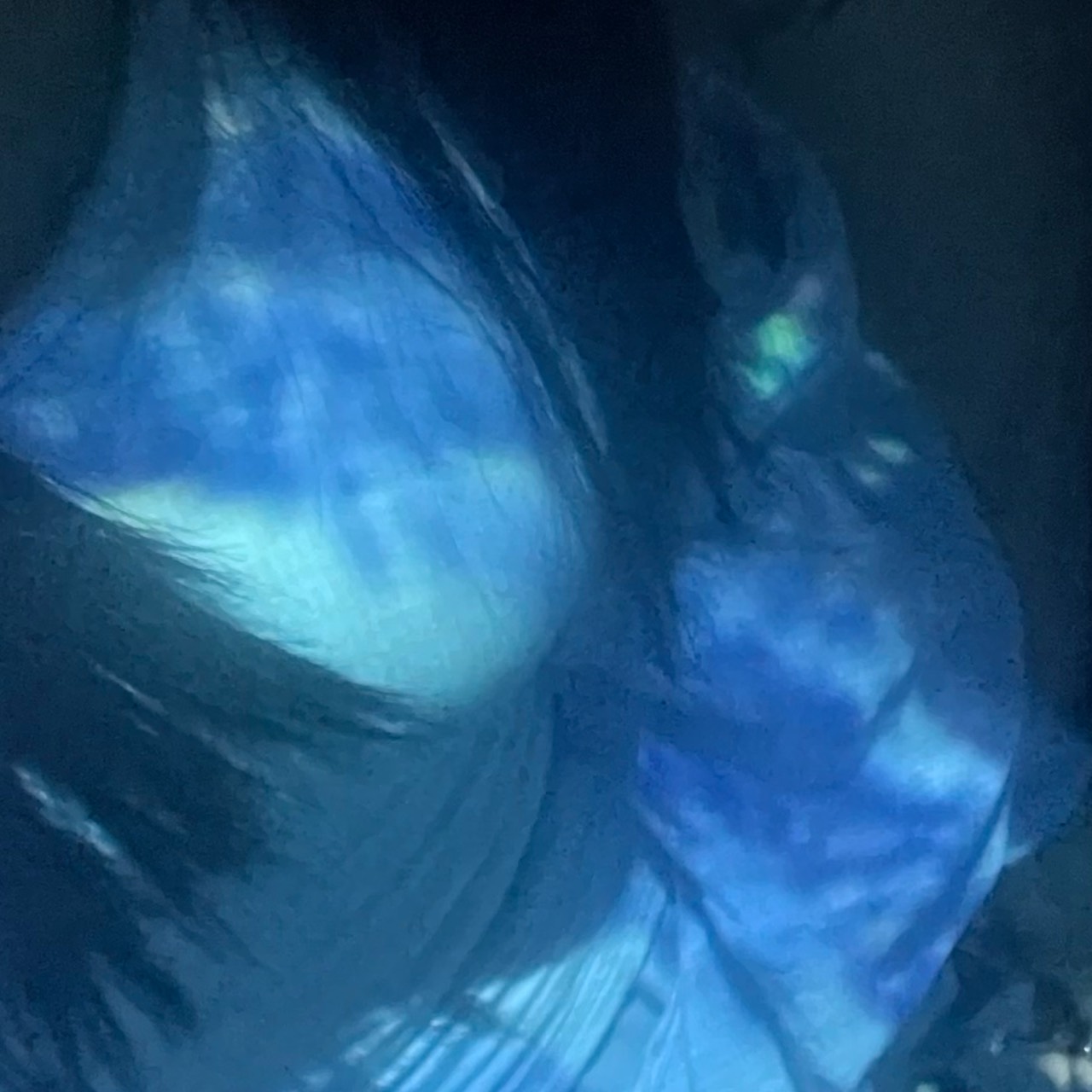 먀먕