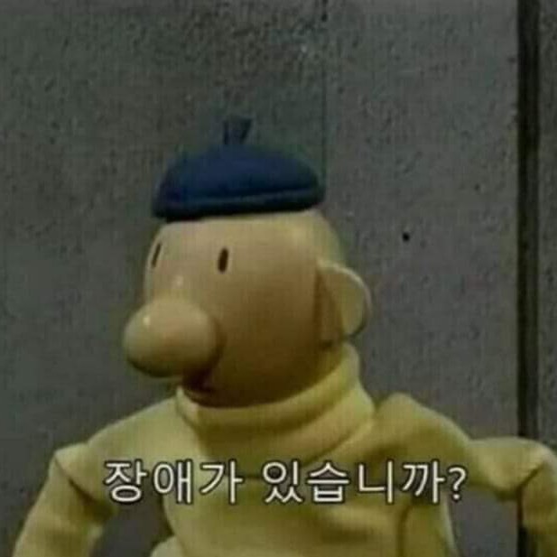 스섹걸