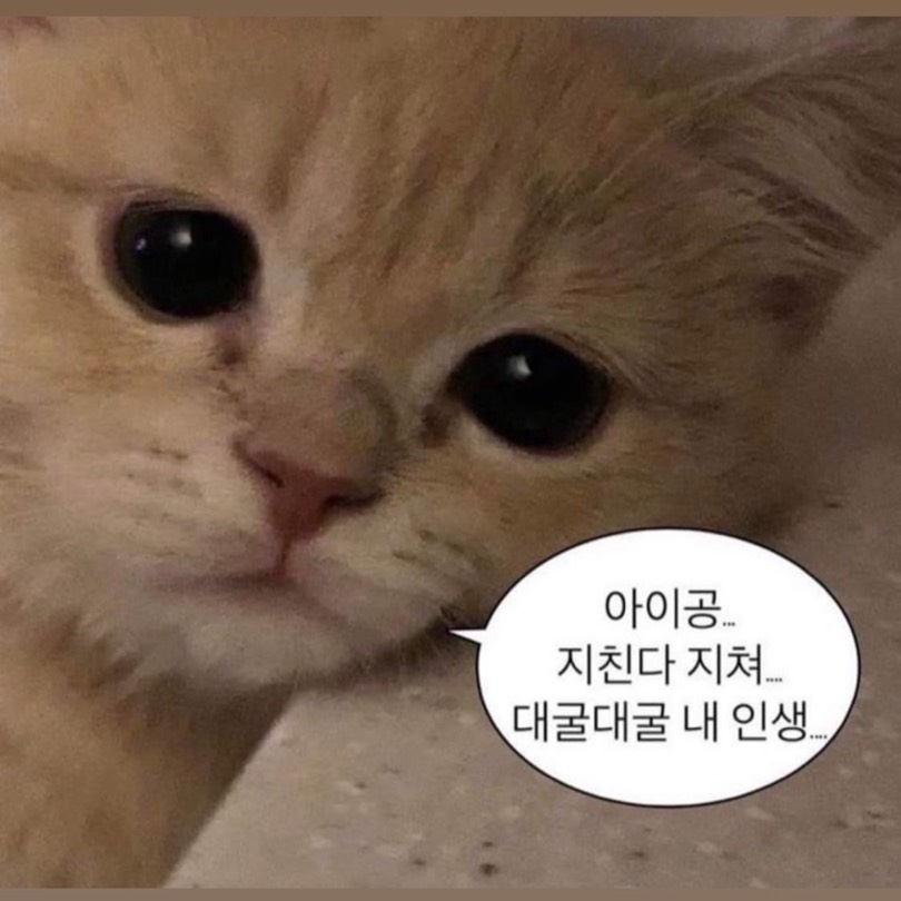 밍맹뭉
