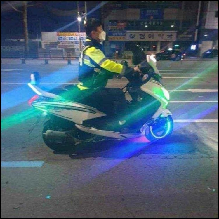 경찰청철창살은굵으려나가느려나