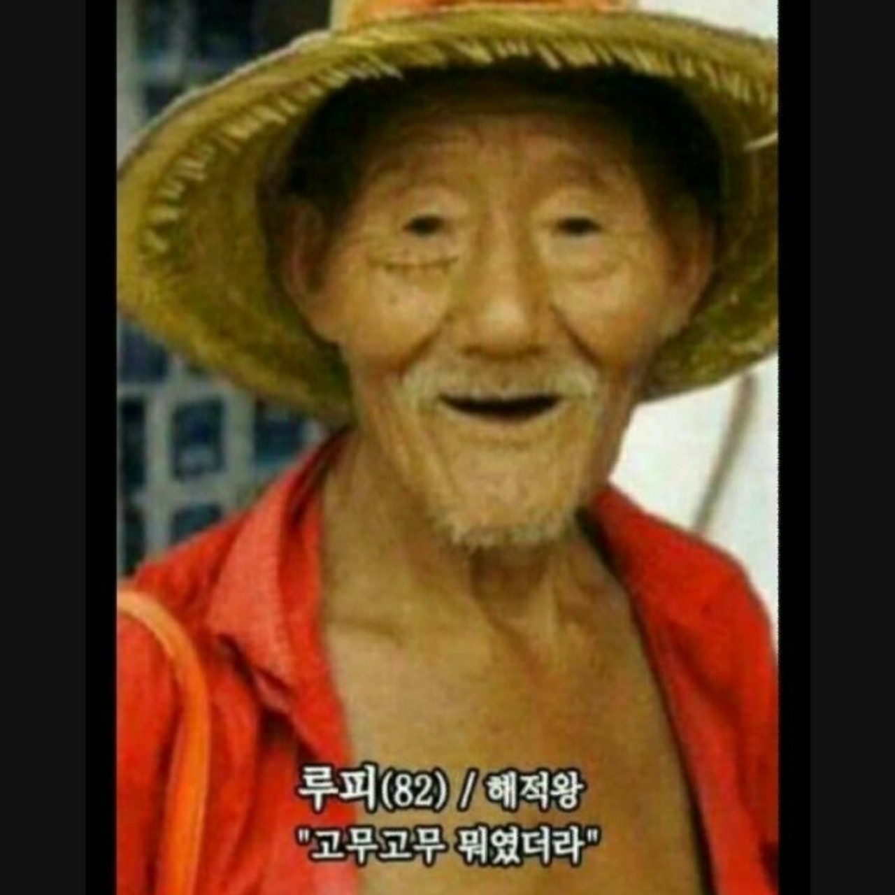 82세 루피(고무고무 모였더라?)