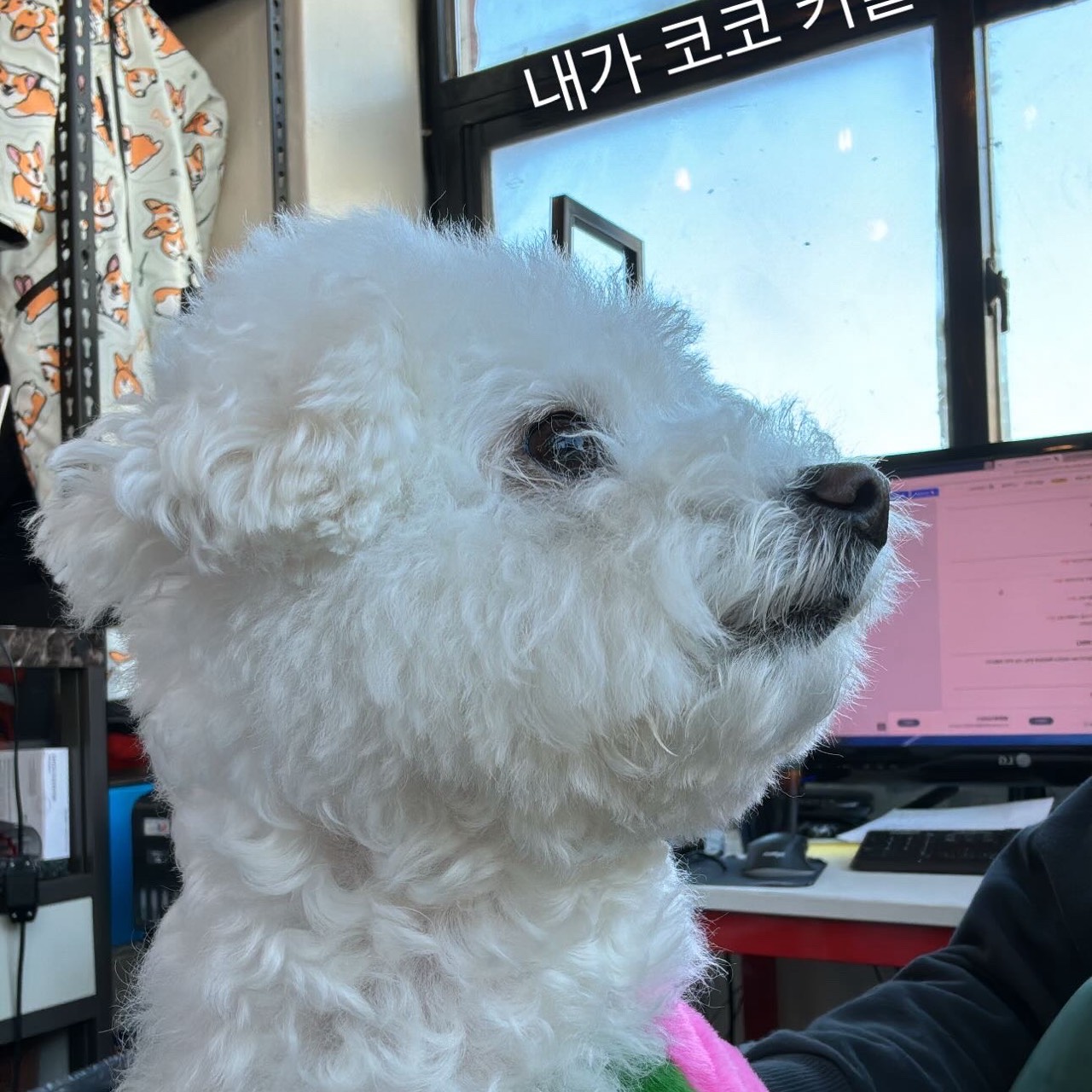 박미쯔