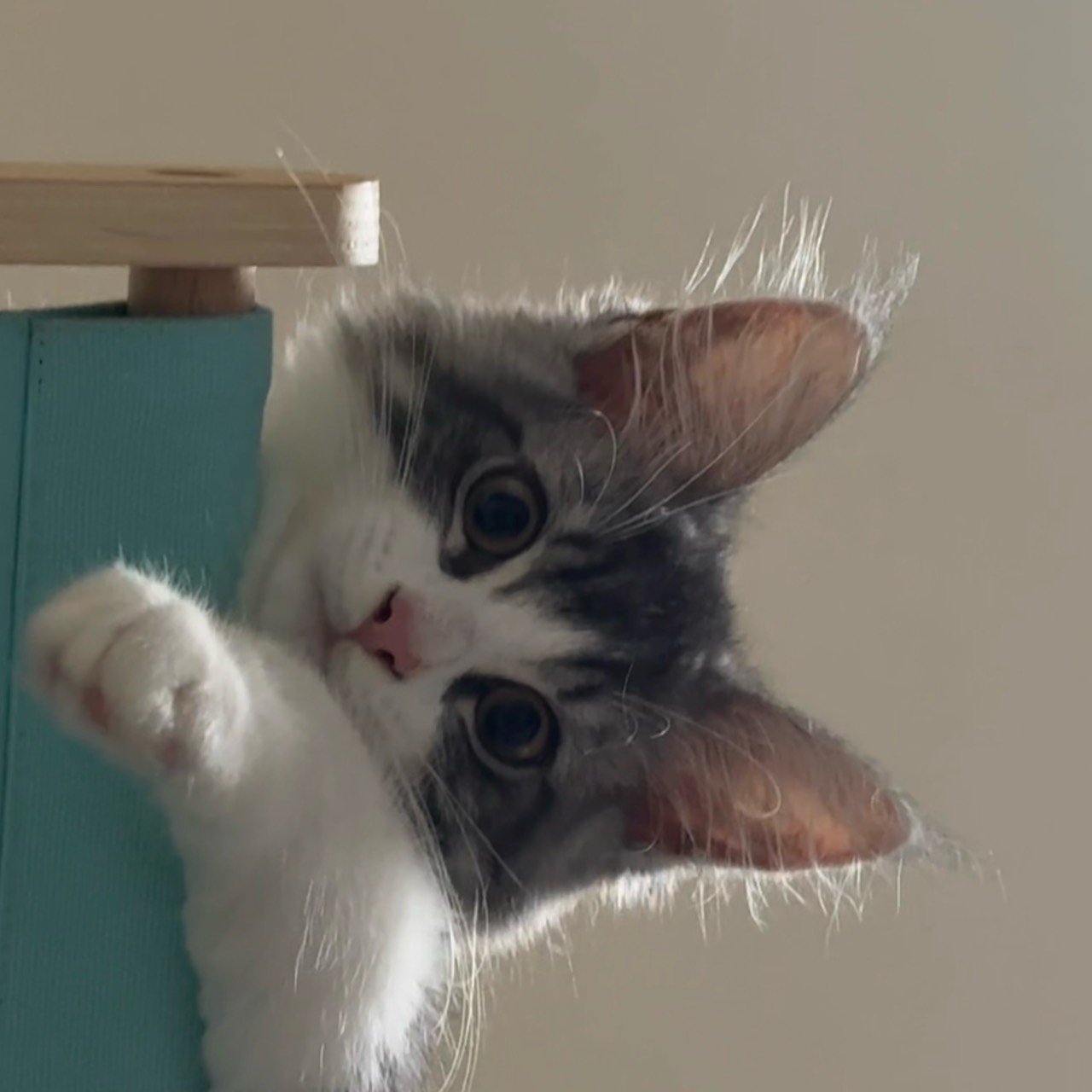 텝텝