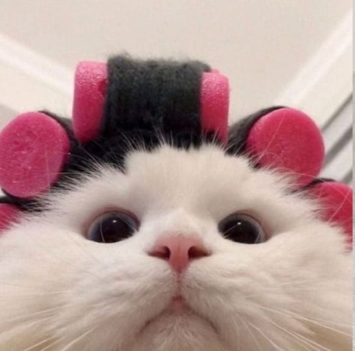 지 안 ˚ෆ₊