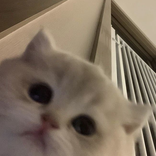 하요