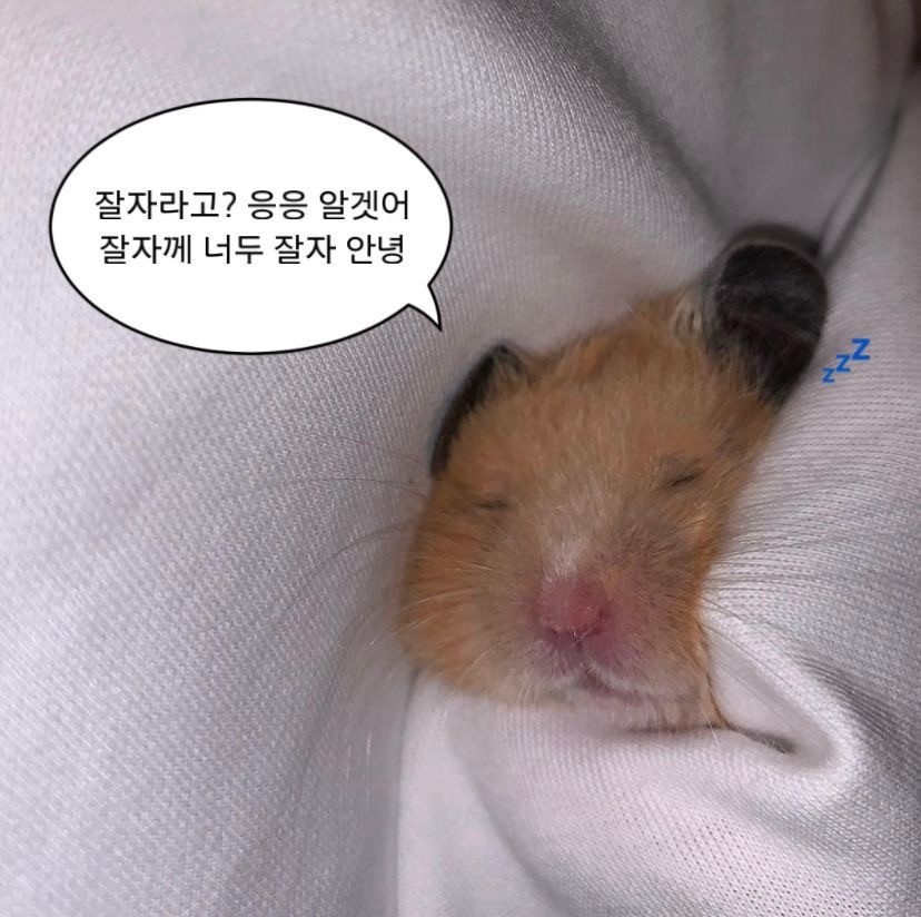ㅇㅇ
