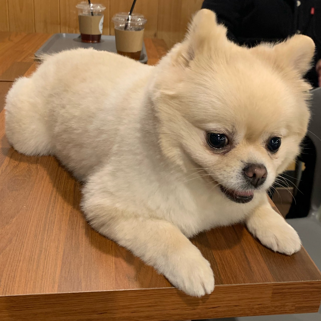 헤으응