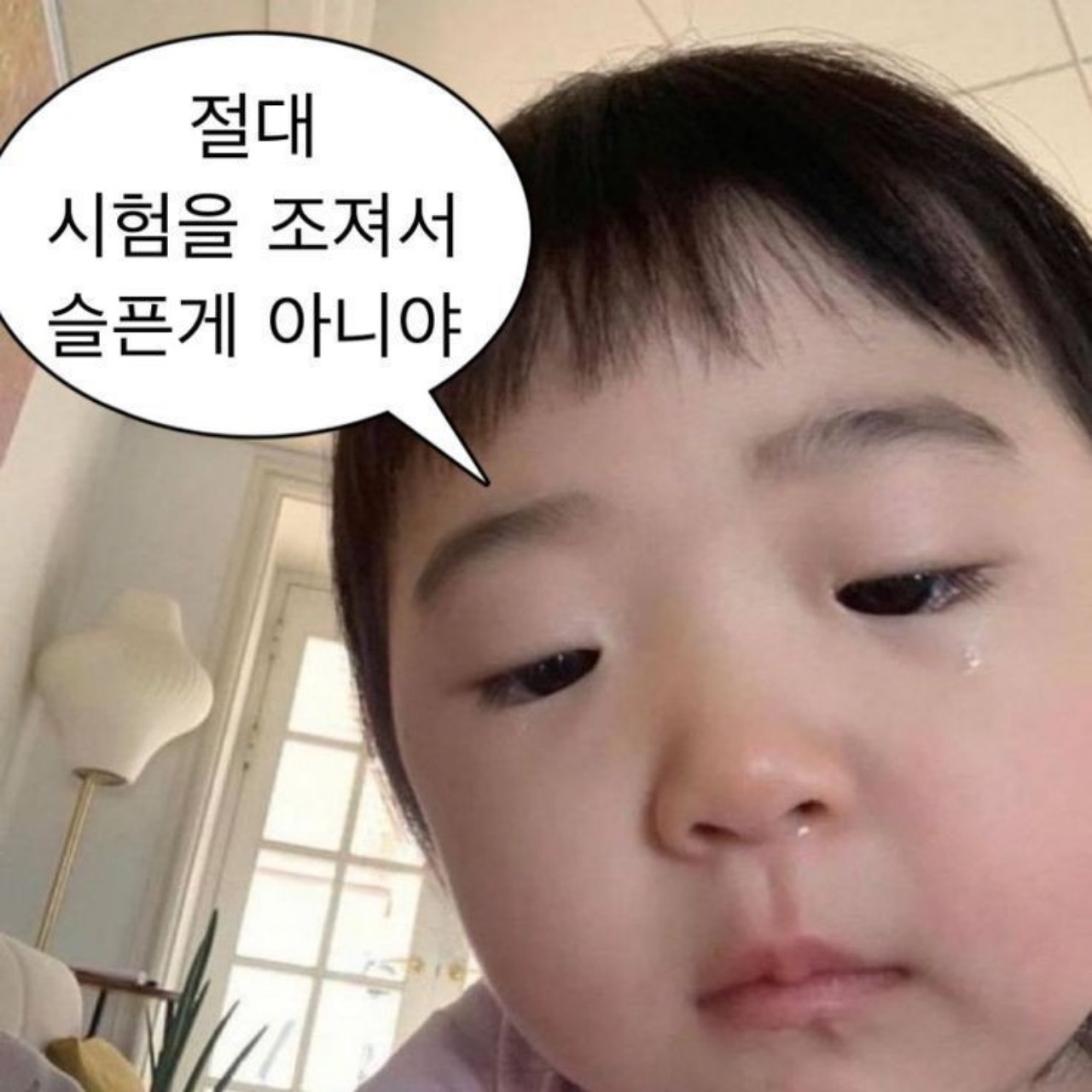 옛설