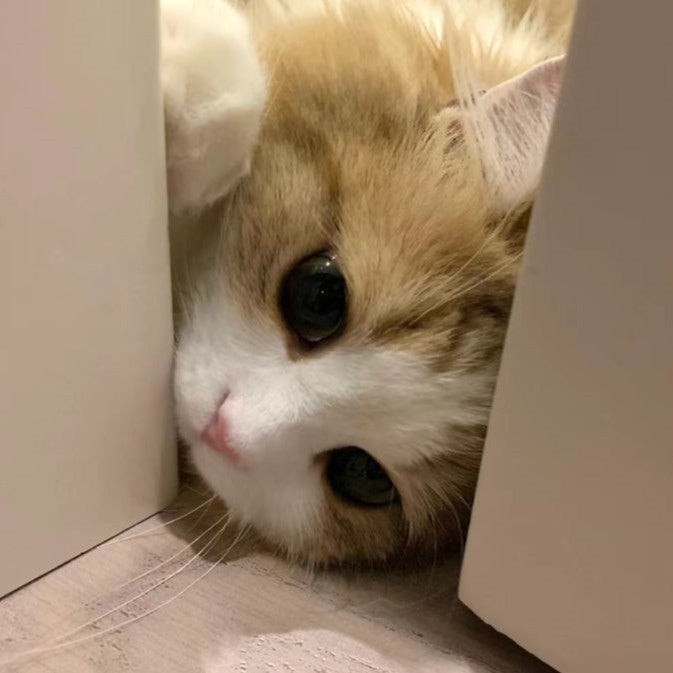예진