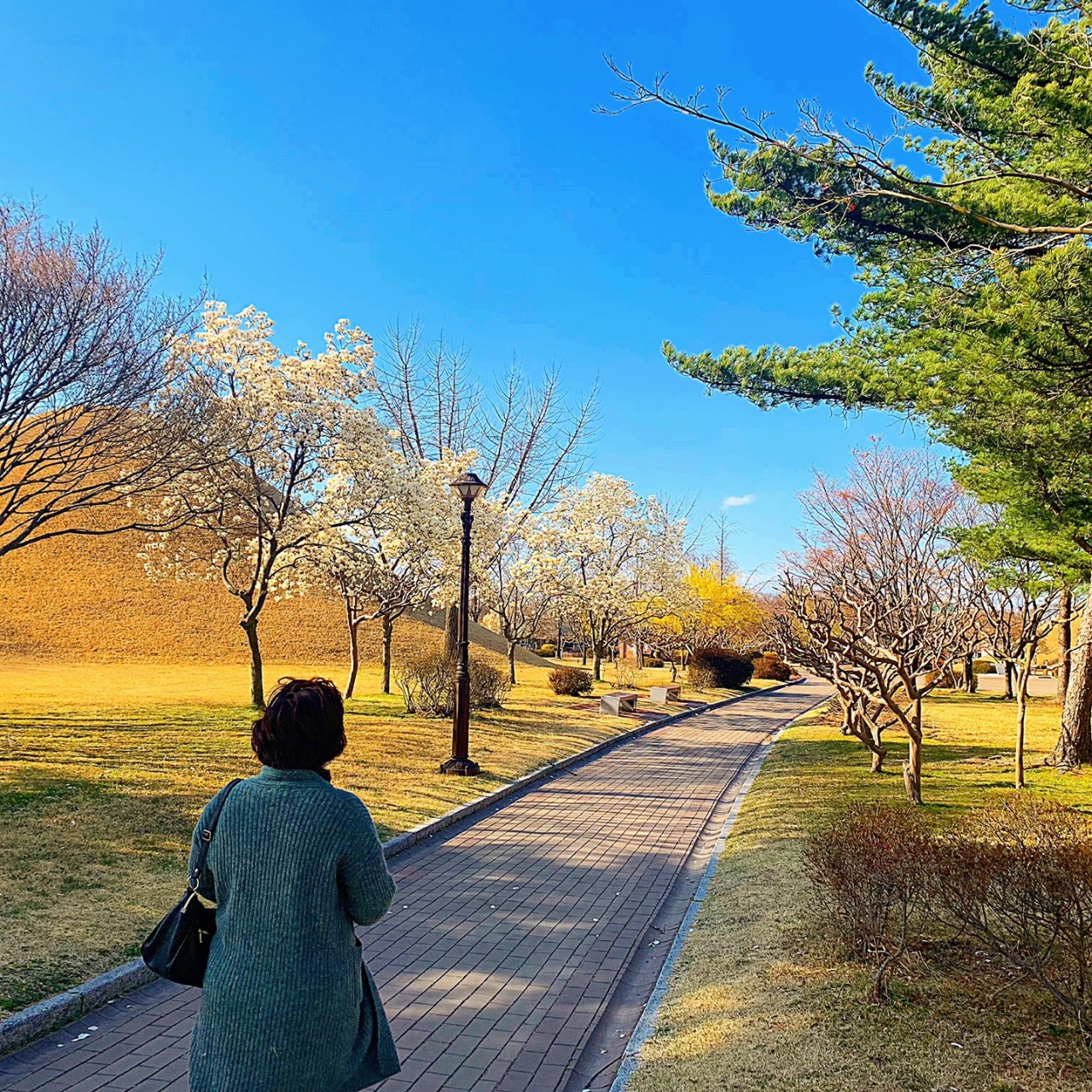 🌼김민🐧