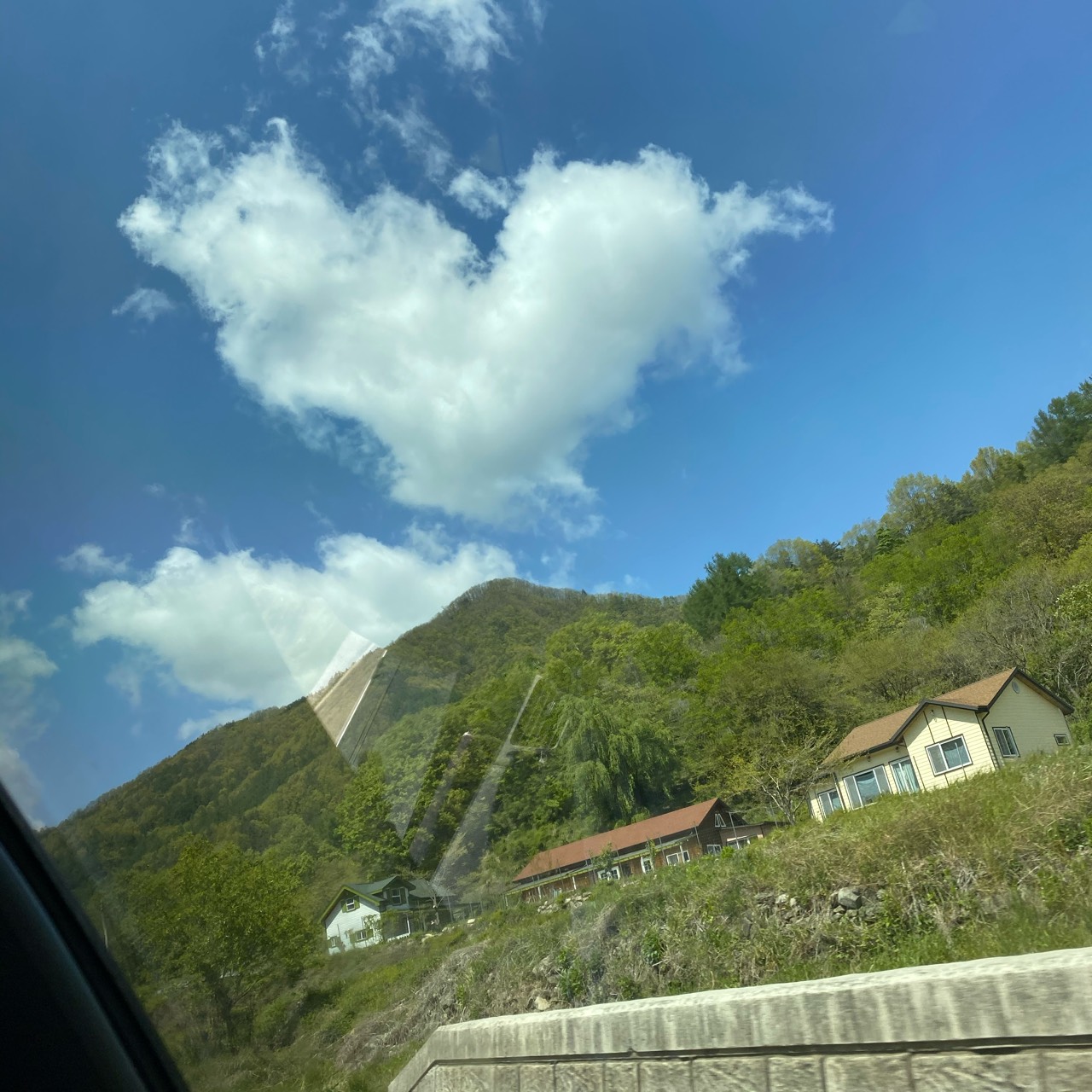 공항도둑