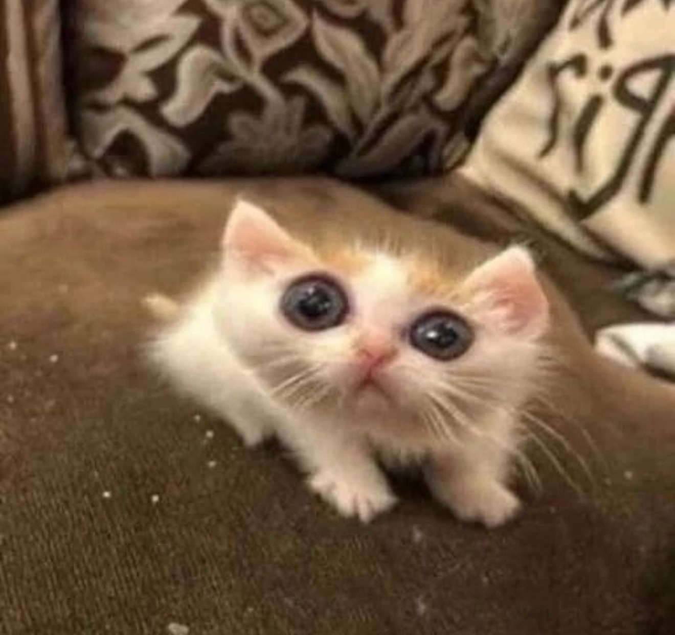 훈 훈