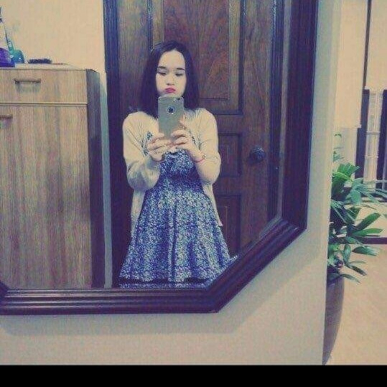 렌스로즈