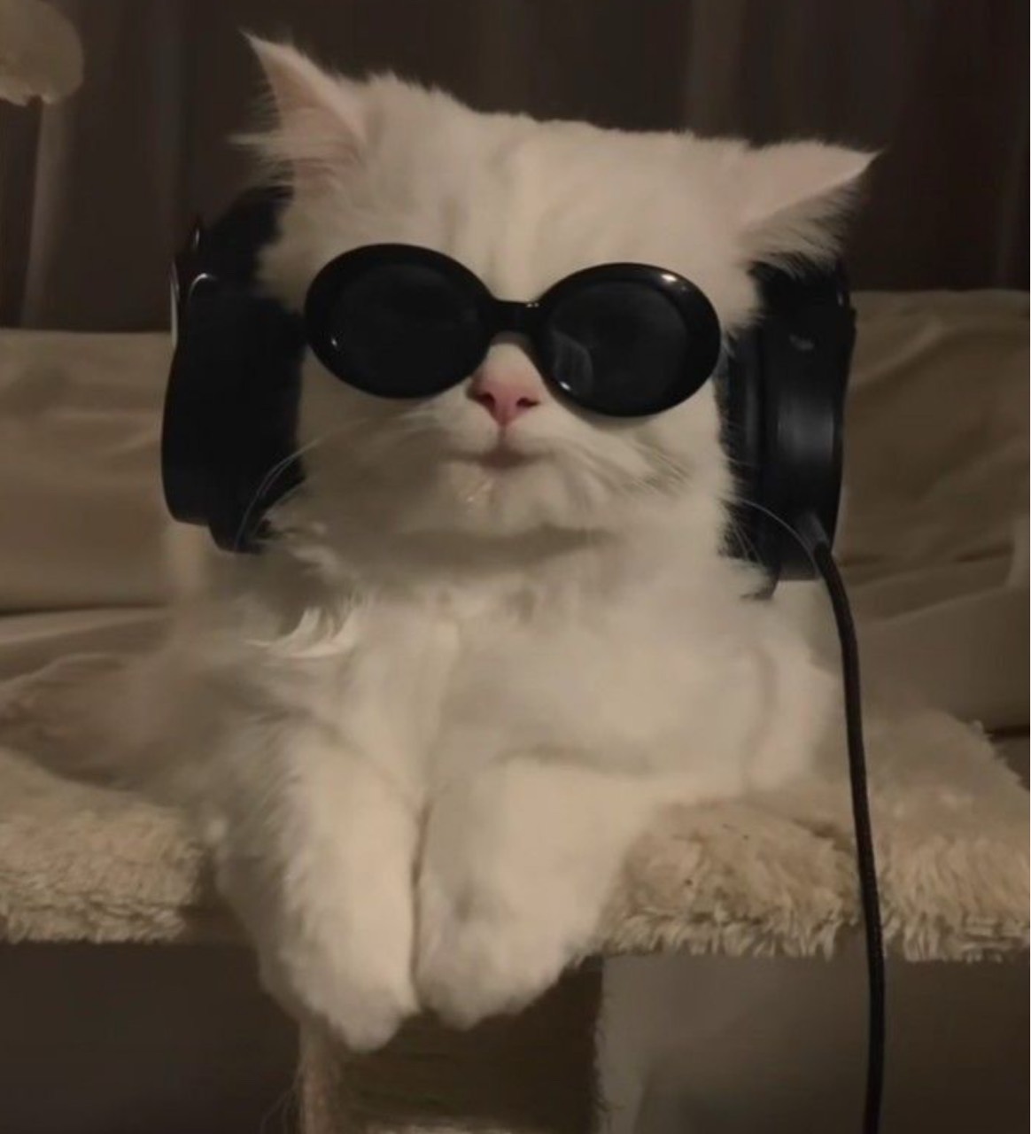 ๐