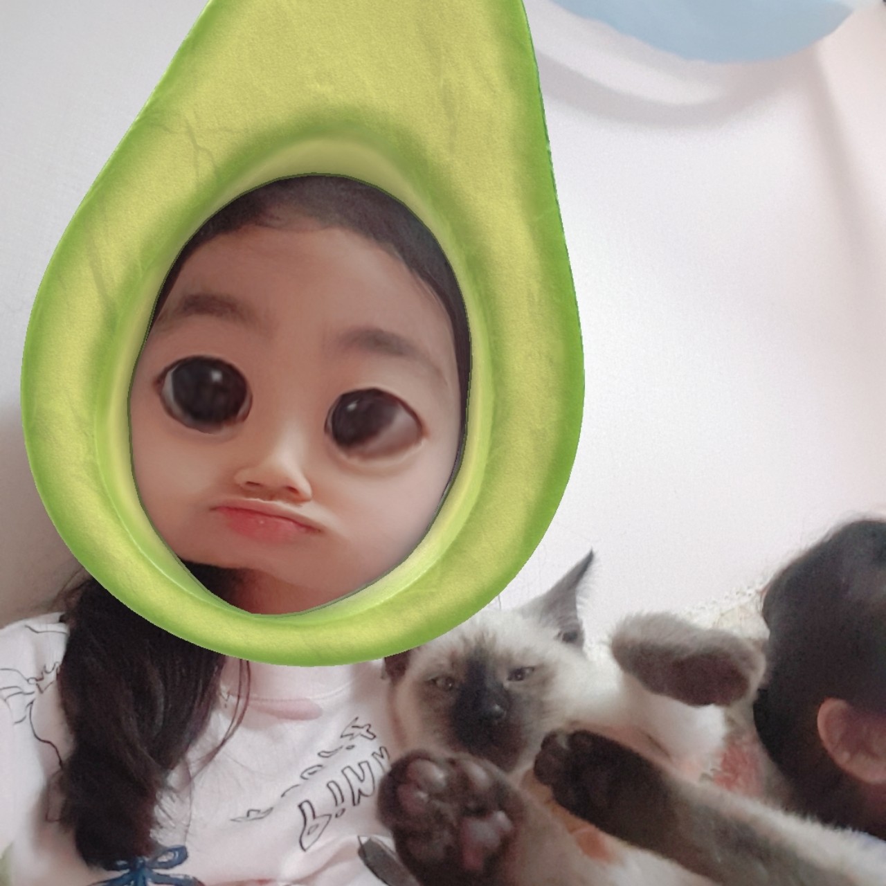 qj하율하연라이프