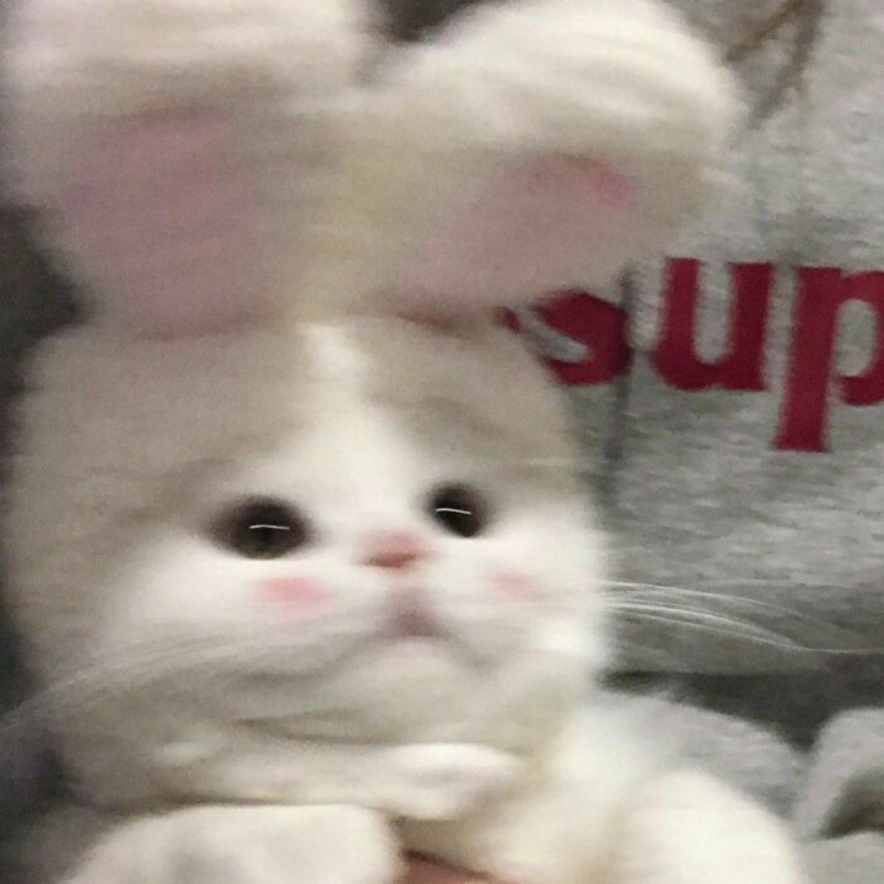 ℛъ̊ 리벙