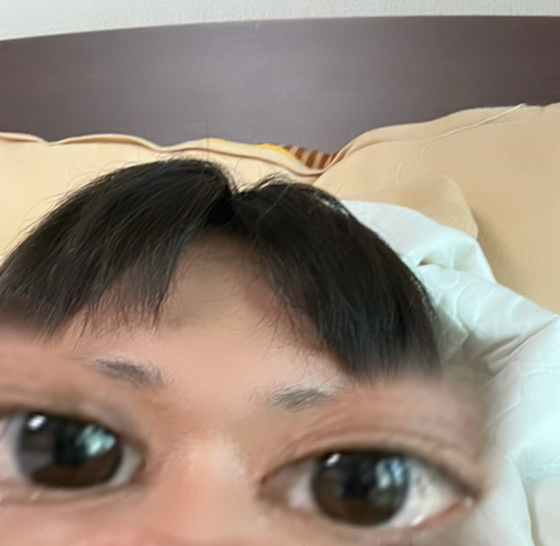 𝕁𝔾대한민국은물부족국가이다줄여서 대물