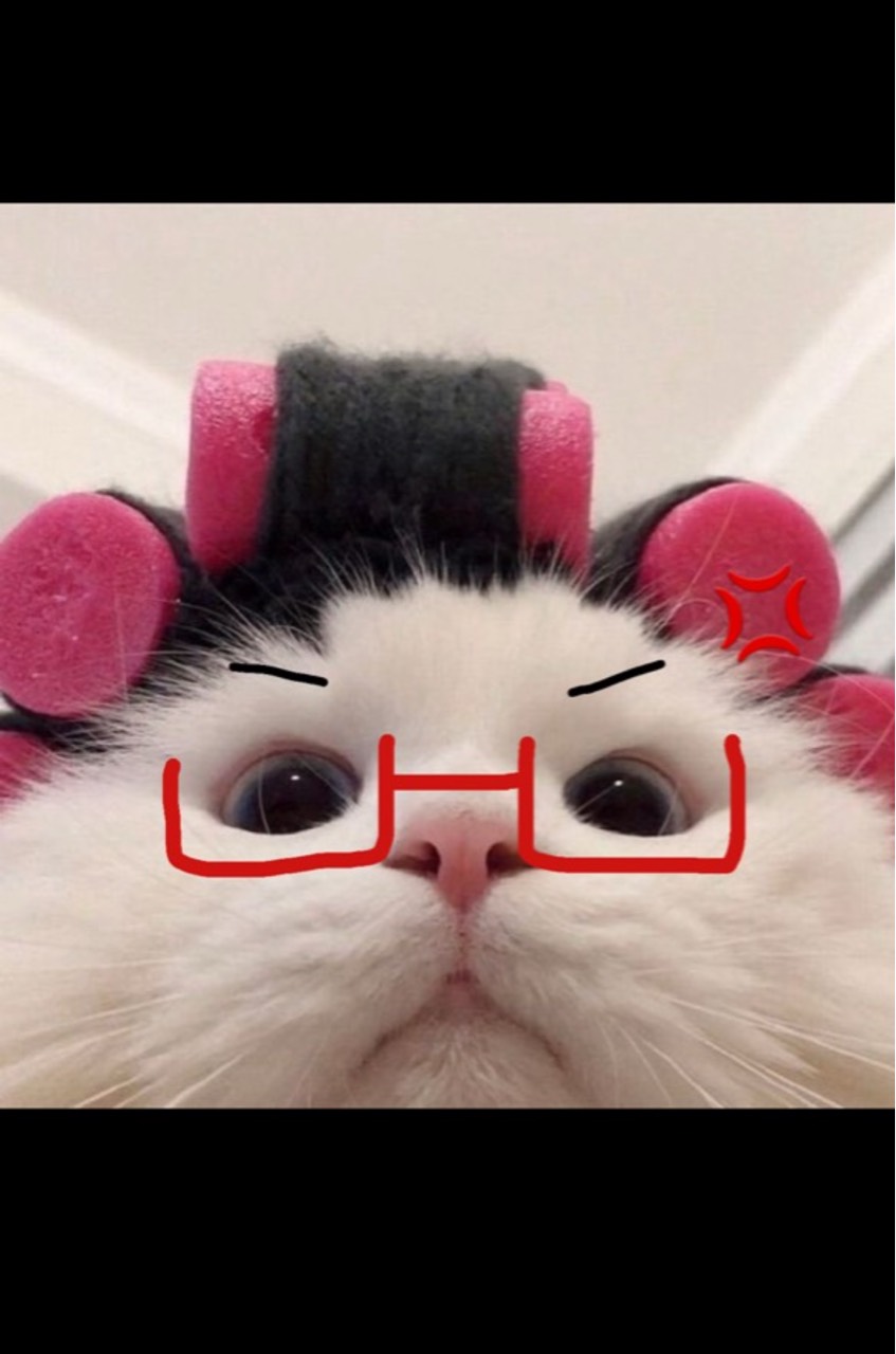 뽀짝 ᵕ̈♪