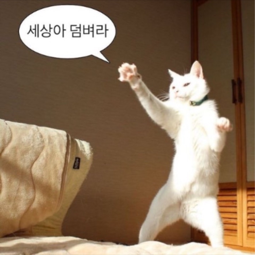 뒤진다왕돈까스