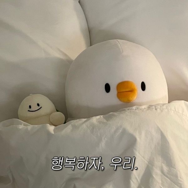 응디