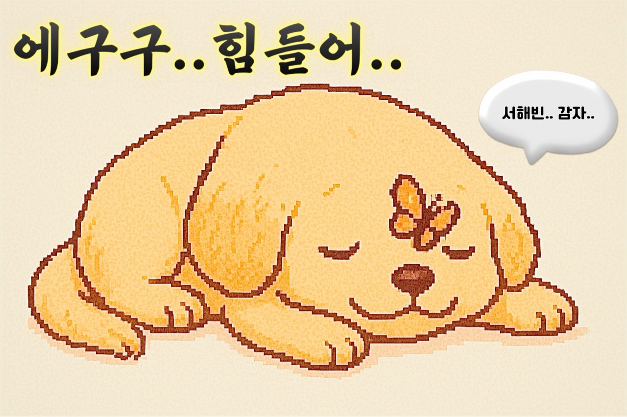 ꘪ *·˚ 해빈이네 뭐의 꿈 ⬜️