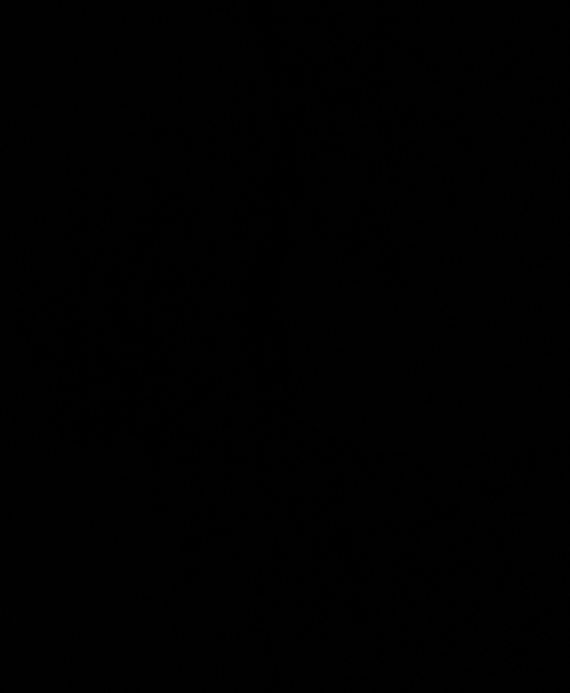 권 율