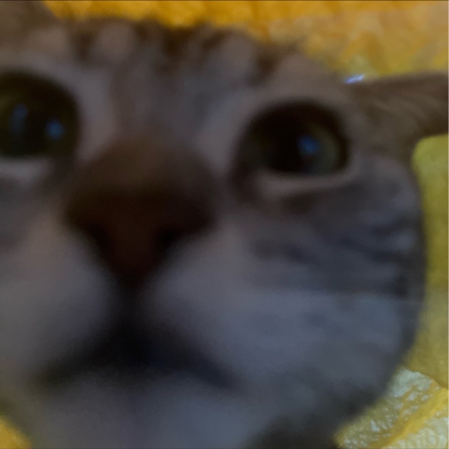 ュ냥 할 주