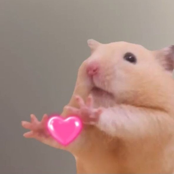 지 니