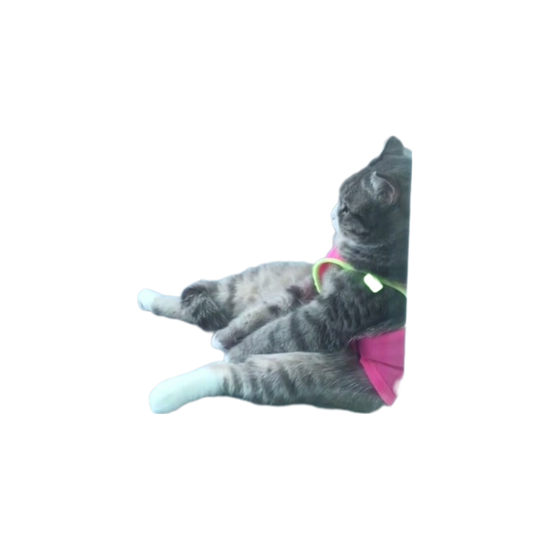 โ๐ฆโ๐ฒ๐_ํ๊ธ๋ณด๋นผ๊ผผc