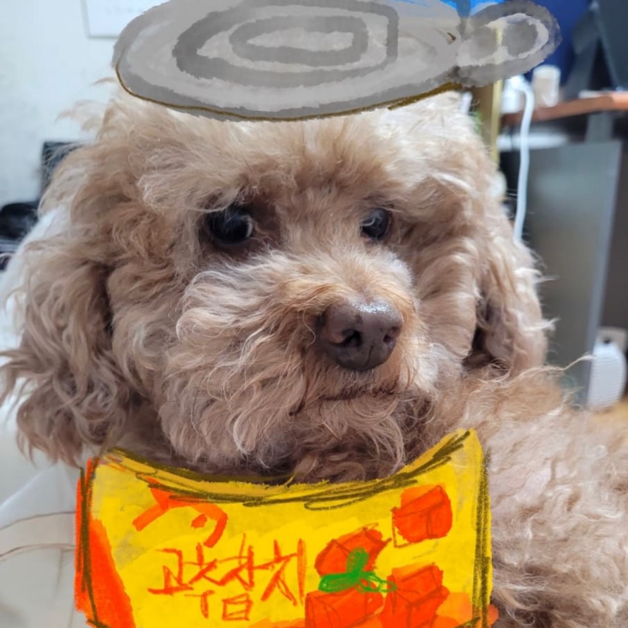 당근을 흔들어 주세요ꪔ̤🥕ꪔ̤🥕