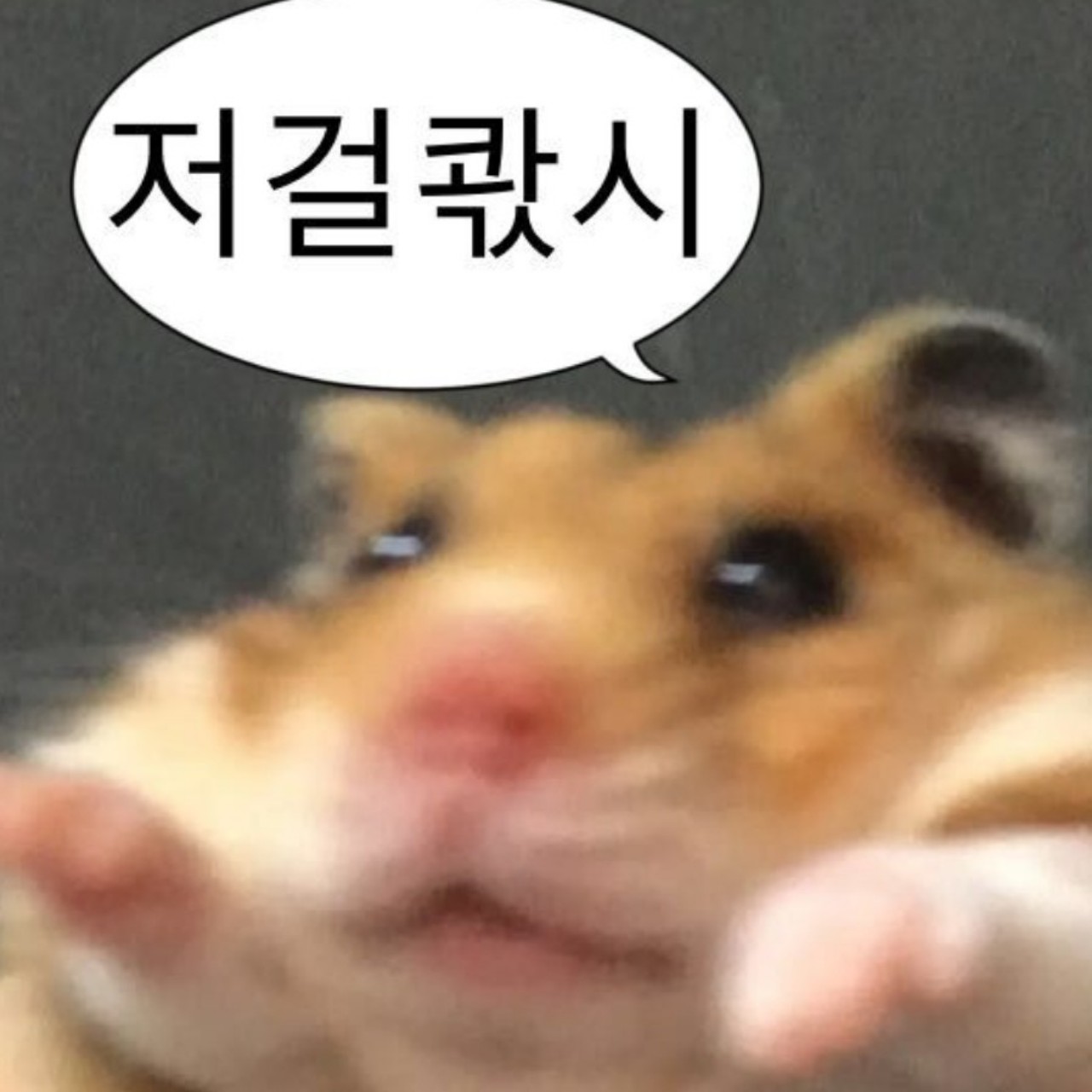 섹     스