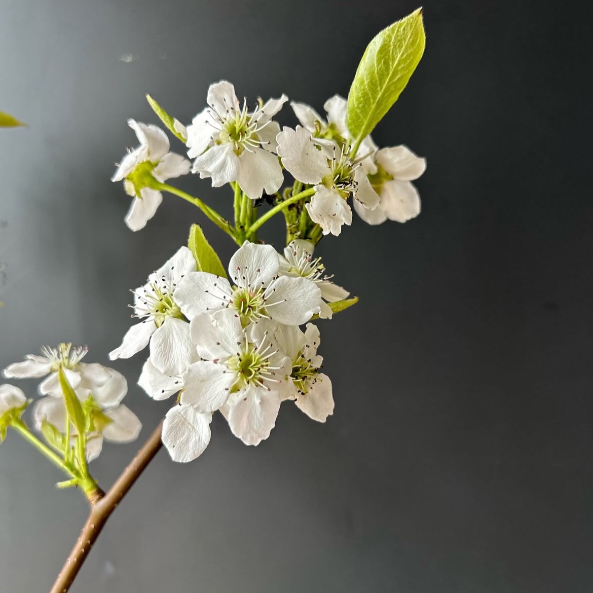 내 맘대로.. Best Part 🩵🦋