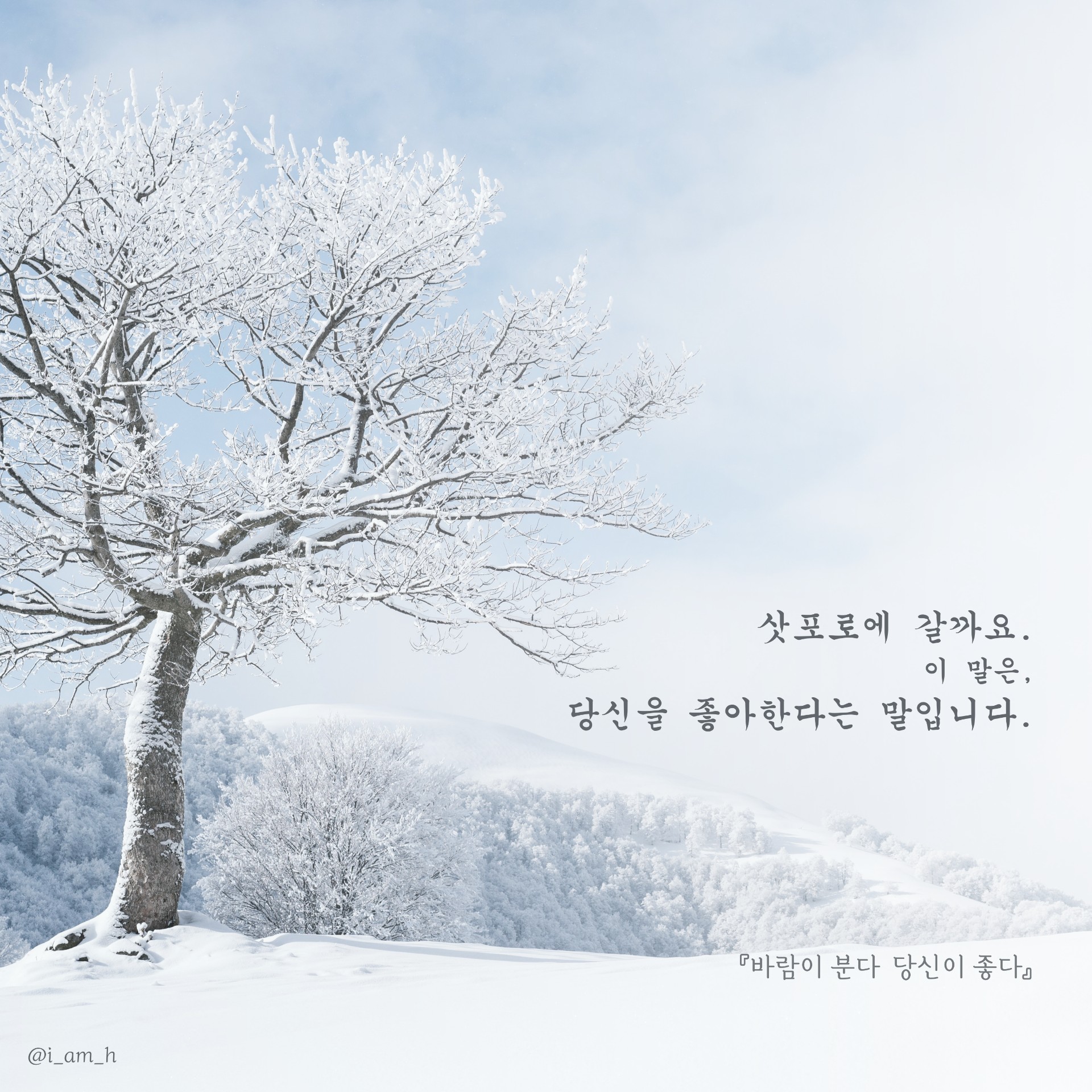 삿포로에 갈까요 ,